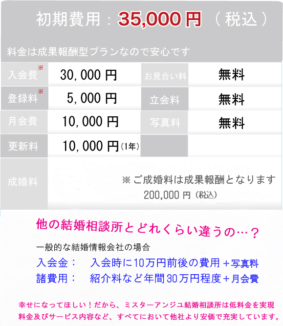 システム・料金プラン
